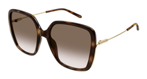 Chloé CH0173S 006